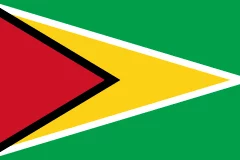 Guyana flag